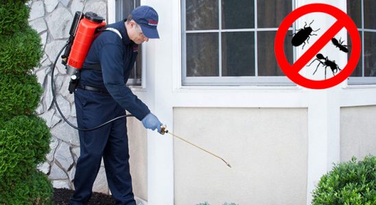 Sarıyer Kene İlaçlama böcek ilaçlama ve haşere kontrolü — ilaclama-tr.com